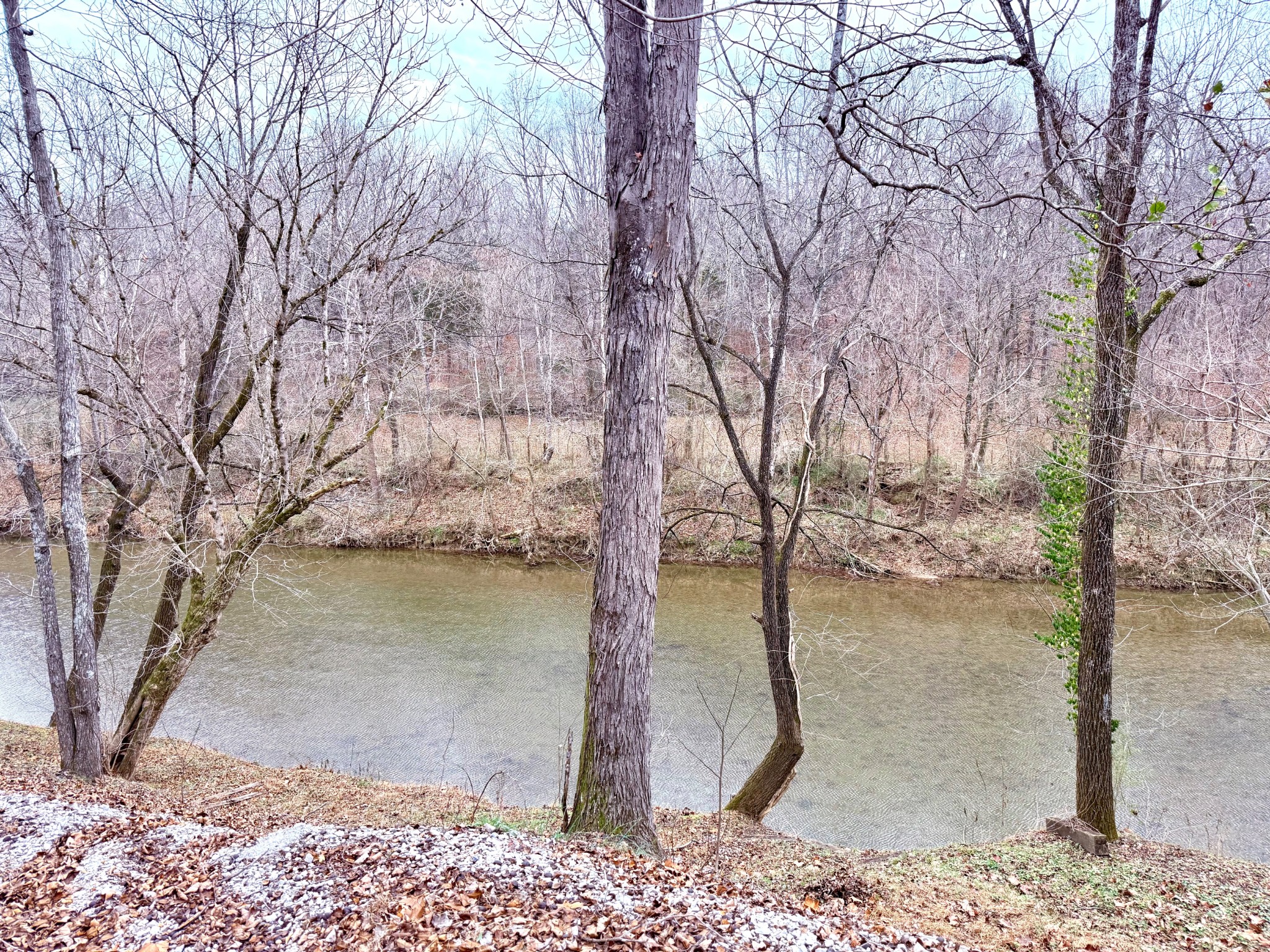 0 Cove Lane Lawrenceburg TN 38464