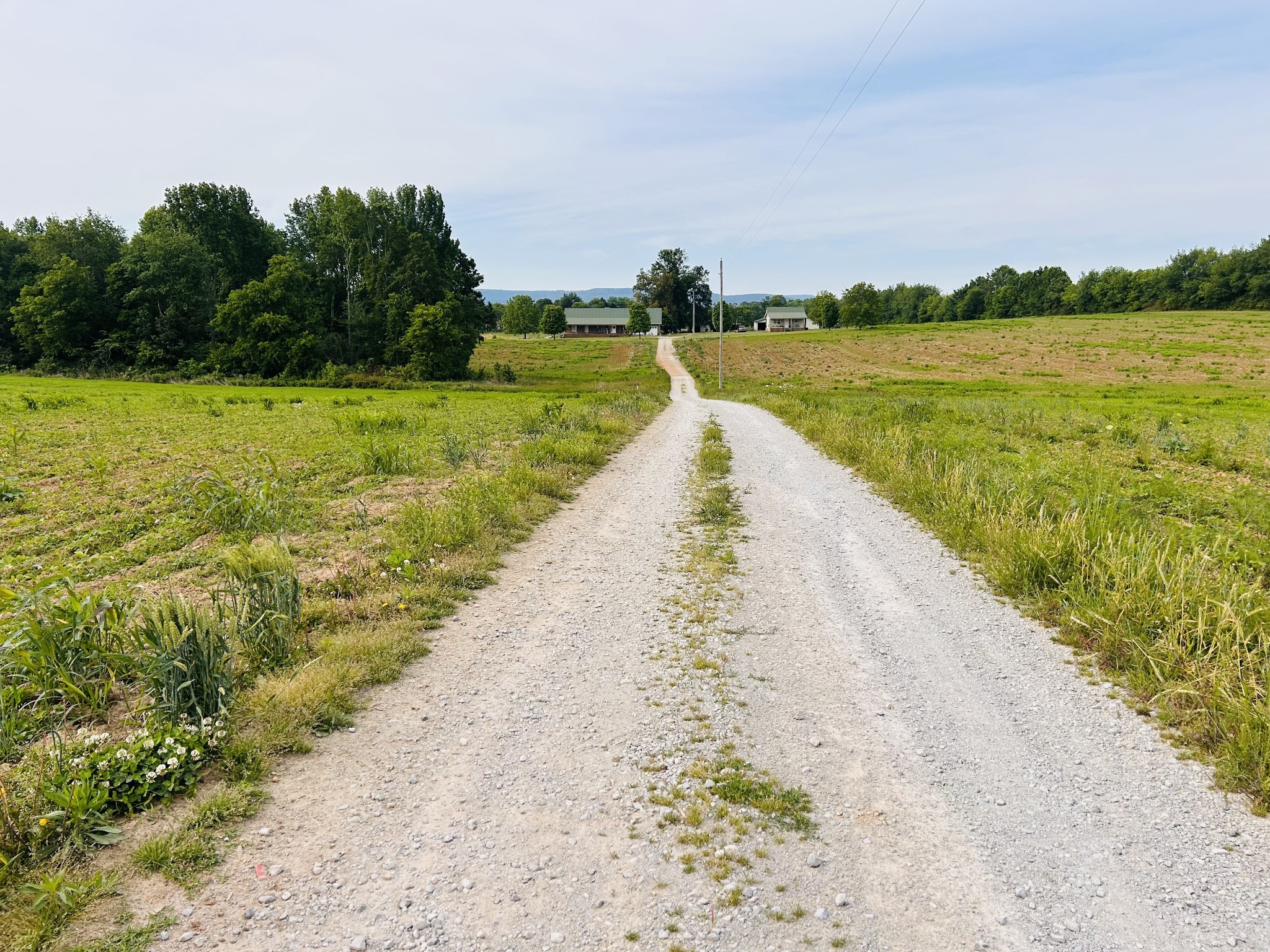 235 Breezy Knoll Lane Morrison TN 37357