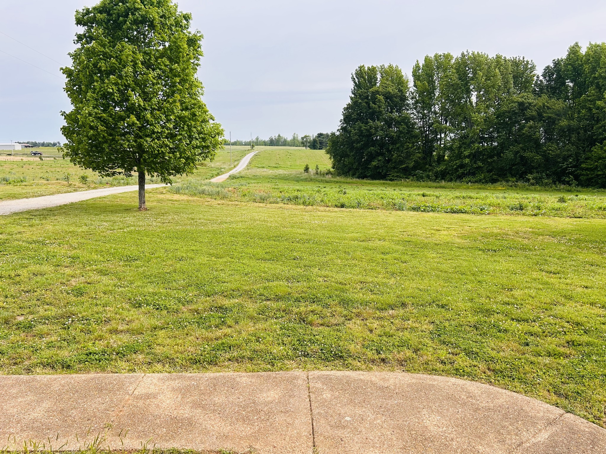 235 Breezy Knoll Lane Morrison TN 37357