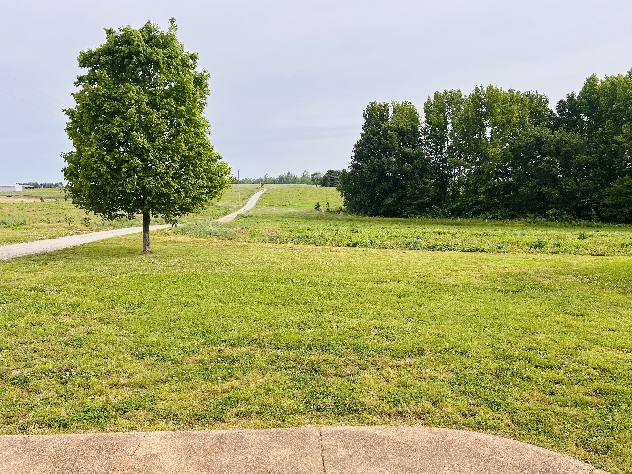 235 Breezy Knoll Lane Morrison TN 37357