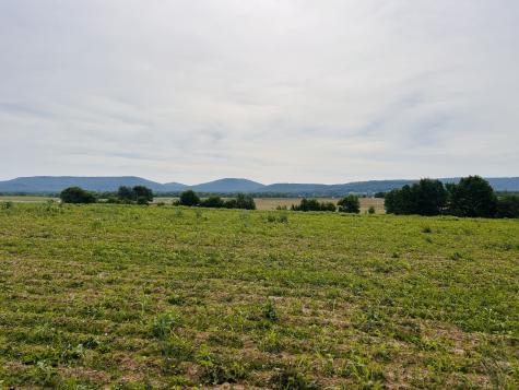 235 Breezy Knoll Lane Morrison TN 37357