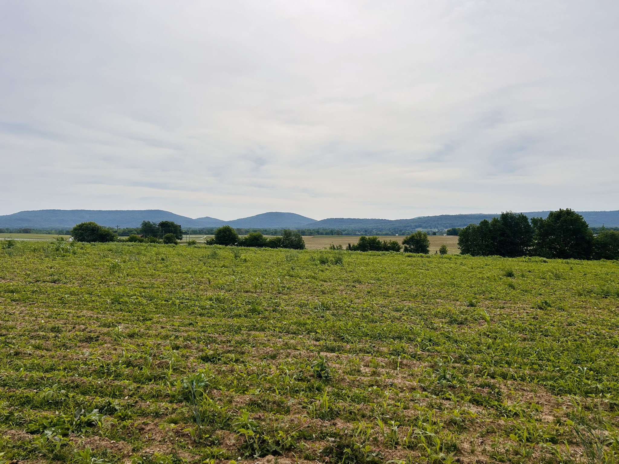 235 Breezy Knoll Lane Morrison TN 37357