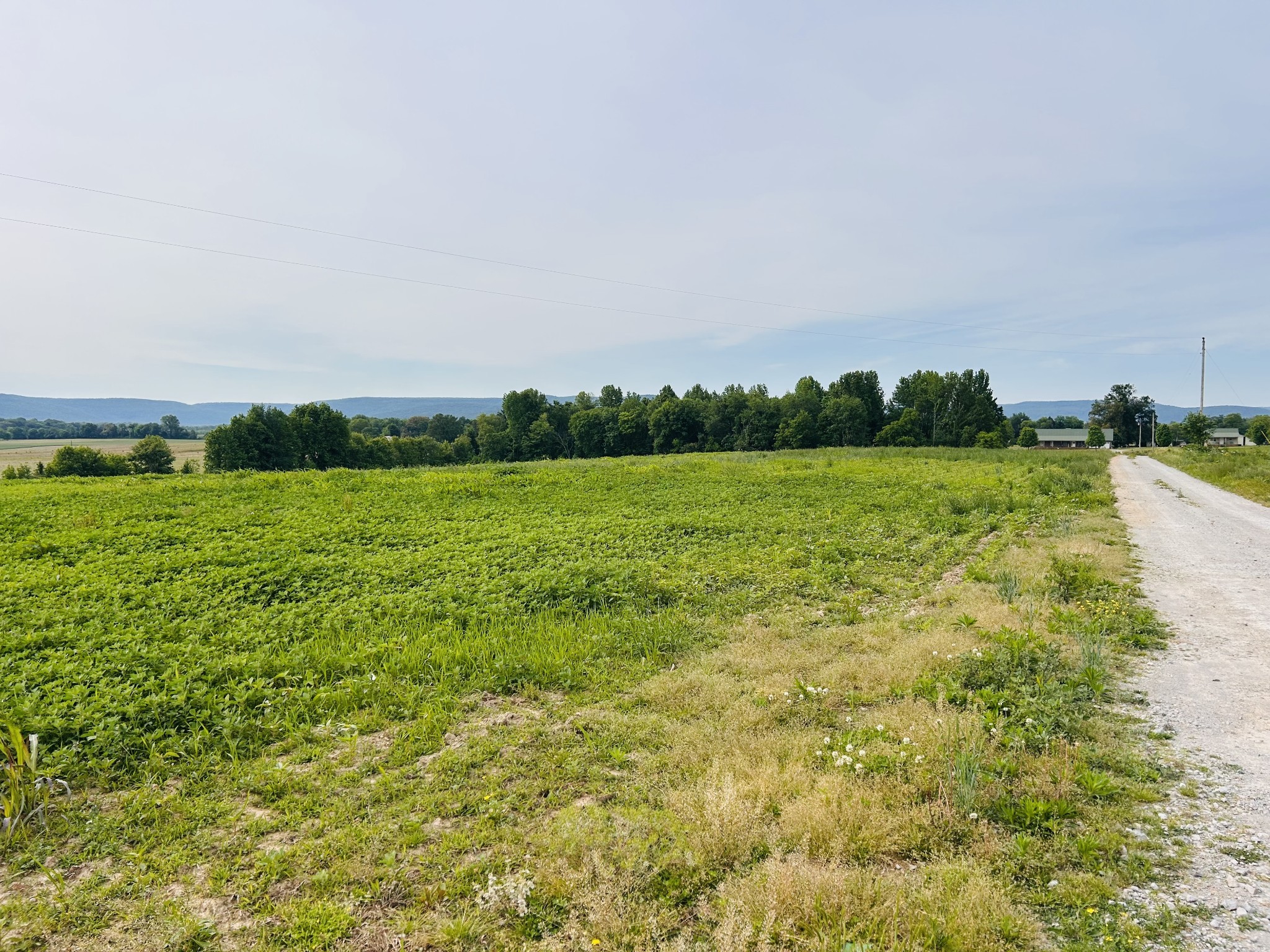 235 Breezy Knoll Lane Morrison TN 37357
