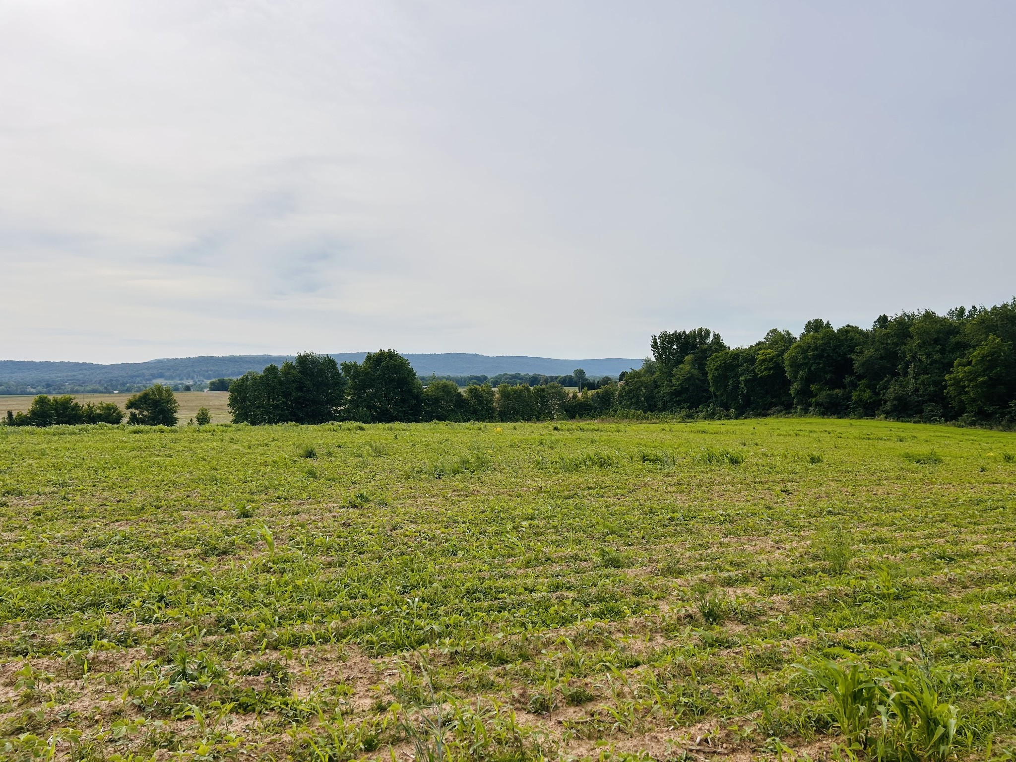 235 Breezy Knoll Lane Morrison TN 37357
