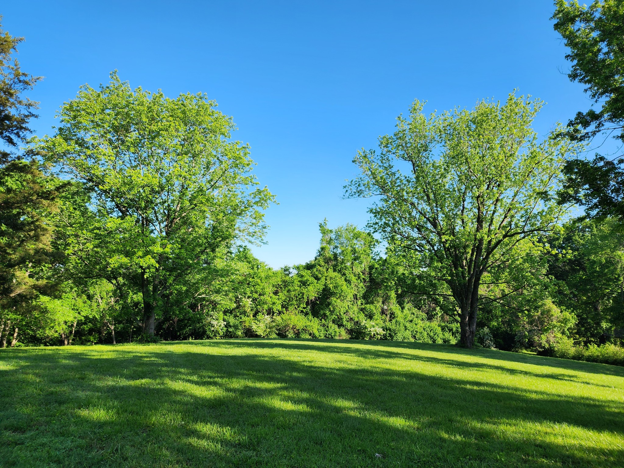 2613 Lishwood Drive Nashville TN 37214
