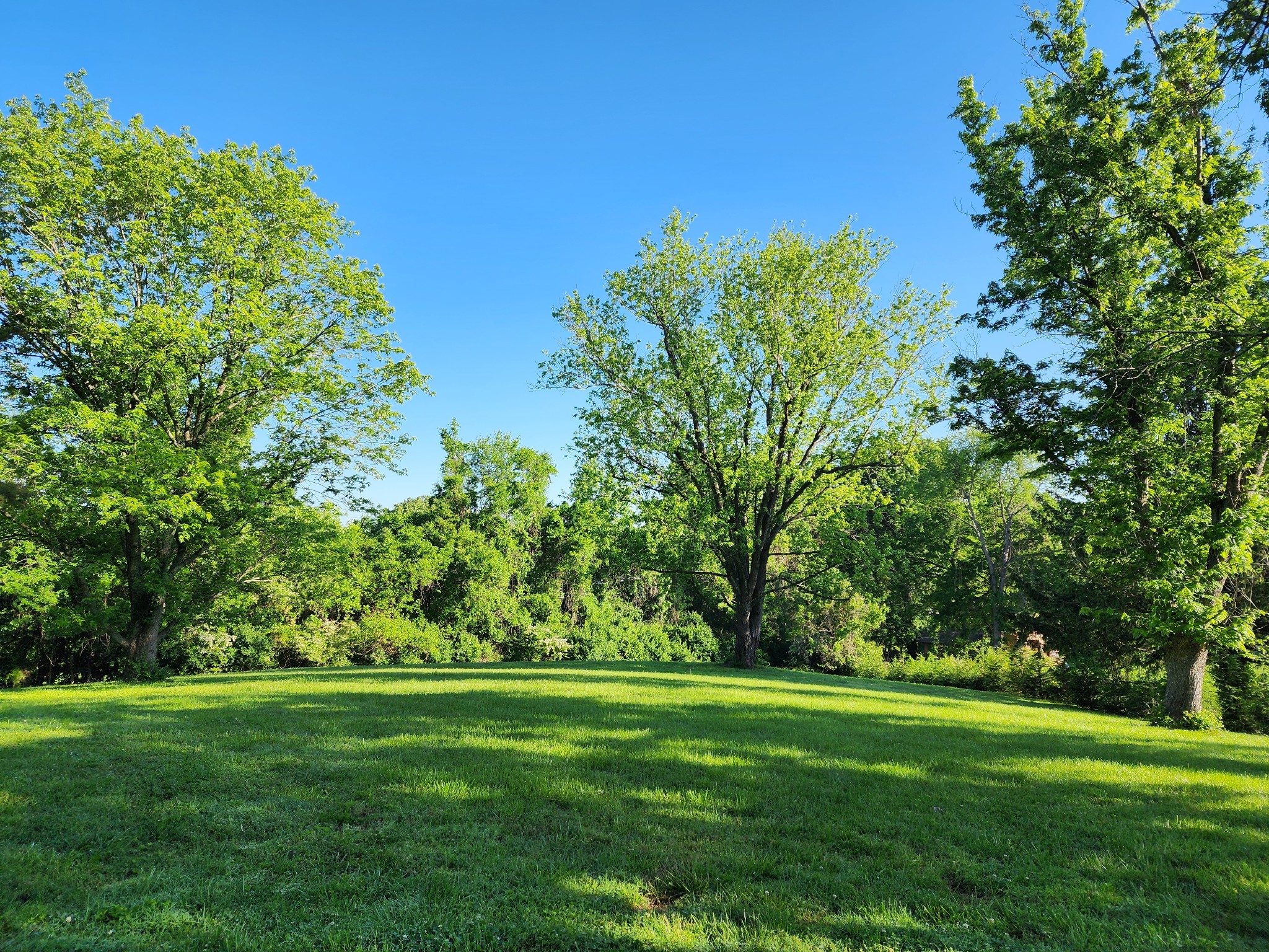 2613 Lishwood Drive Nashville TN 37214