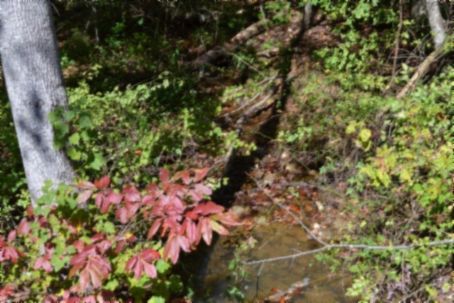 0 Arrow Trail Monterey TN 38574