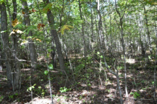0 Arrow Trail Monterey TN 38574