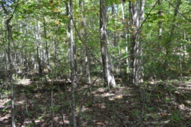 0 Arrow Trail Monterey TN 38574