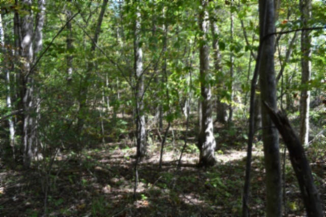 0 Arrow Trail Monterey TN 38574
