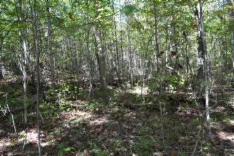 0 Arrow Trail Monterey TN 38574