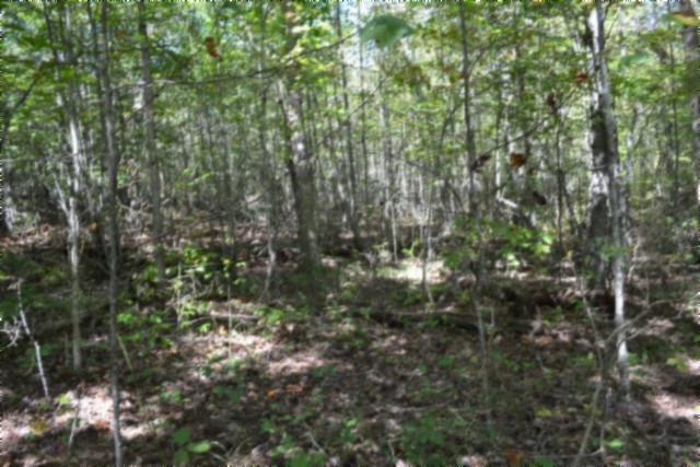 0 Arrow Trail Monterey TN 38574