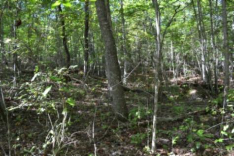 0 Arrow Trail Monterey TN 38574