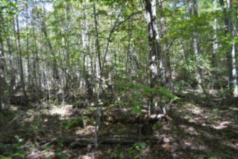 0 Arrow Trail Monterey TN 38574