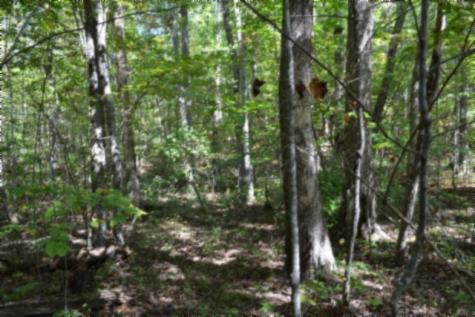 0 Arrow Trail Monterey TN 38574
