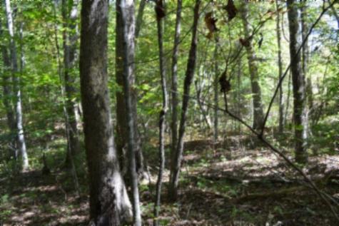 0 Arrow Trail Monterey TN 38574