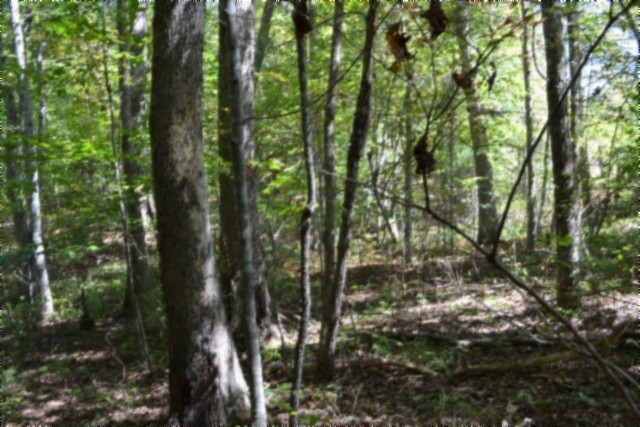 0 Arrow Trail Monterey TN 38574