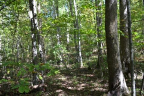 0 Arrow Trail Monterey TN 38574