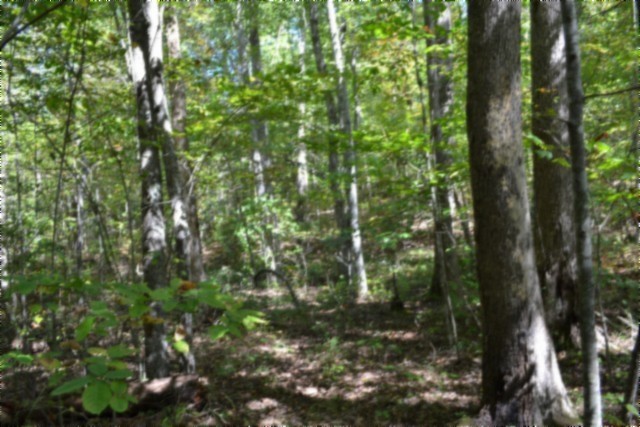 0 Arrow Trail Monterey TN 38574