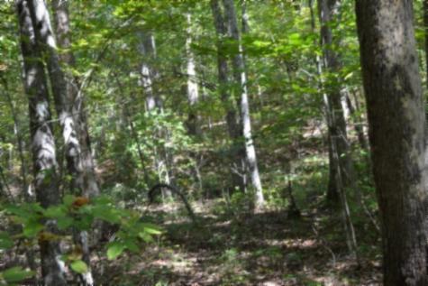 0 Arrow Trail Monterey TN 38574