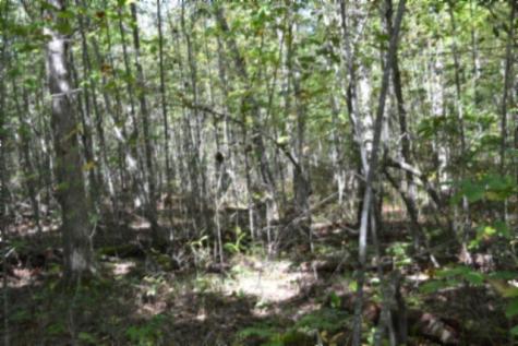 0 Arrow Trail Monterey TN 38574