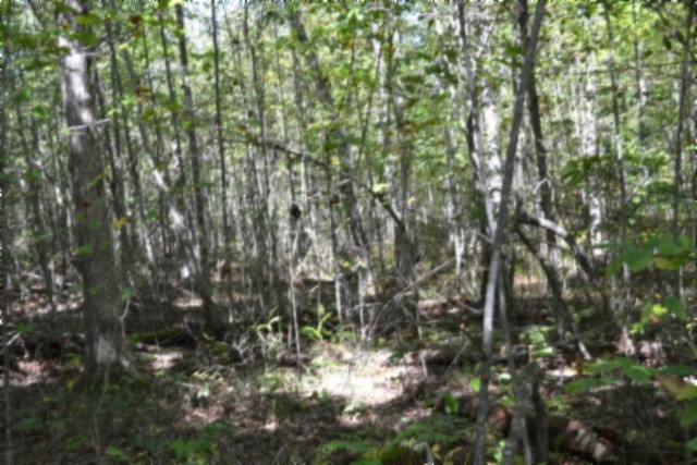 0 Arrow Trail Monterey TN 38574