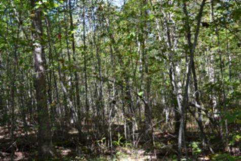 0 Arrow Trail Monterey TN 38574