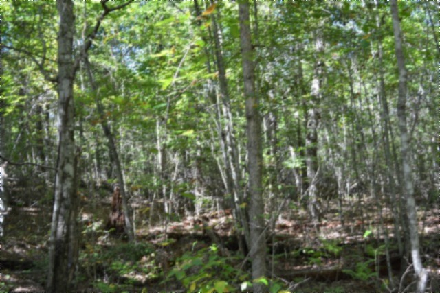 0 Arrow Trail Monterey TN 38574