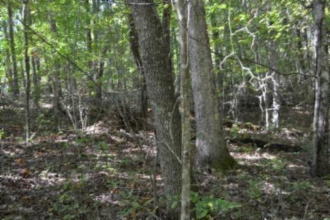 0 Arrow Trail Monterey TN 38574