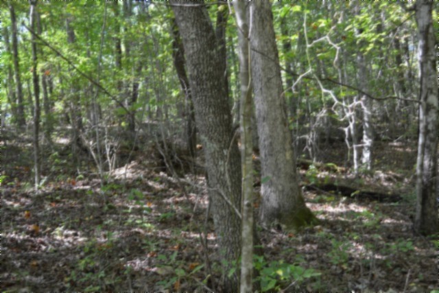 0 Arrow Trail Monterey TN 38574