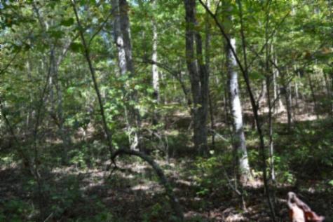 0 Arrow Trail Monterey TN 38574