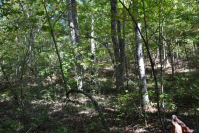 0 Arrow Trail Monterey TN 38574