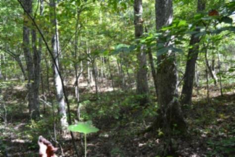 0 Arrow Trail Monterey TN 38574