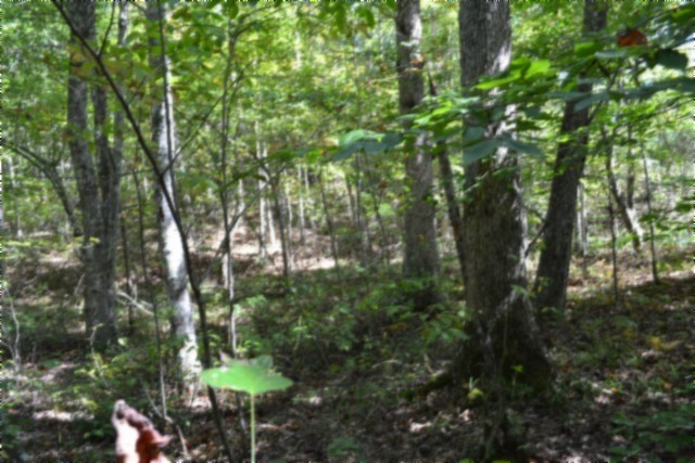 0 Arrow Trail Monterey TN 38574