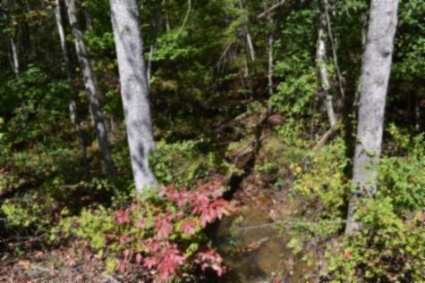 0 Arrow Trail Monterey TN 38574