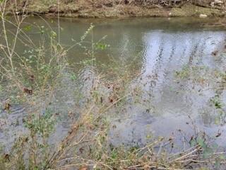 17 Winding Hills Lane Gordonsville TN 38563