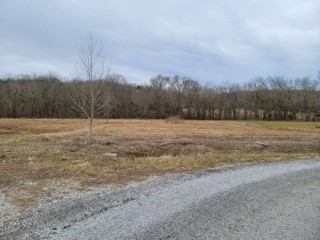 17 Winding Hills Lane Gordonsville TN 38563