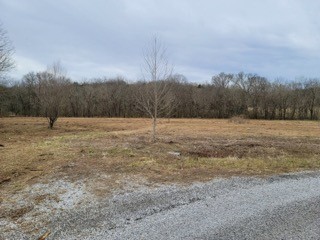 17 Winding Hills Lane Gordonsville TN 38563