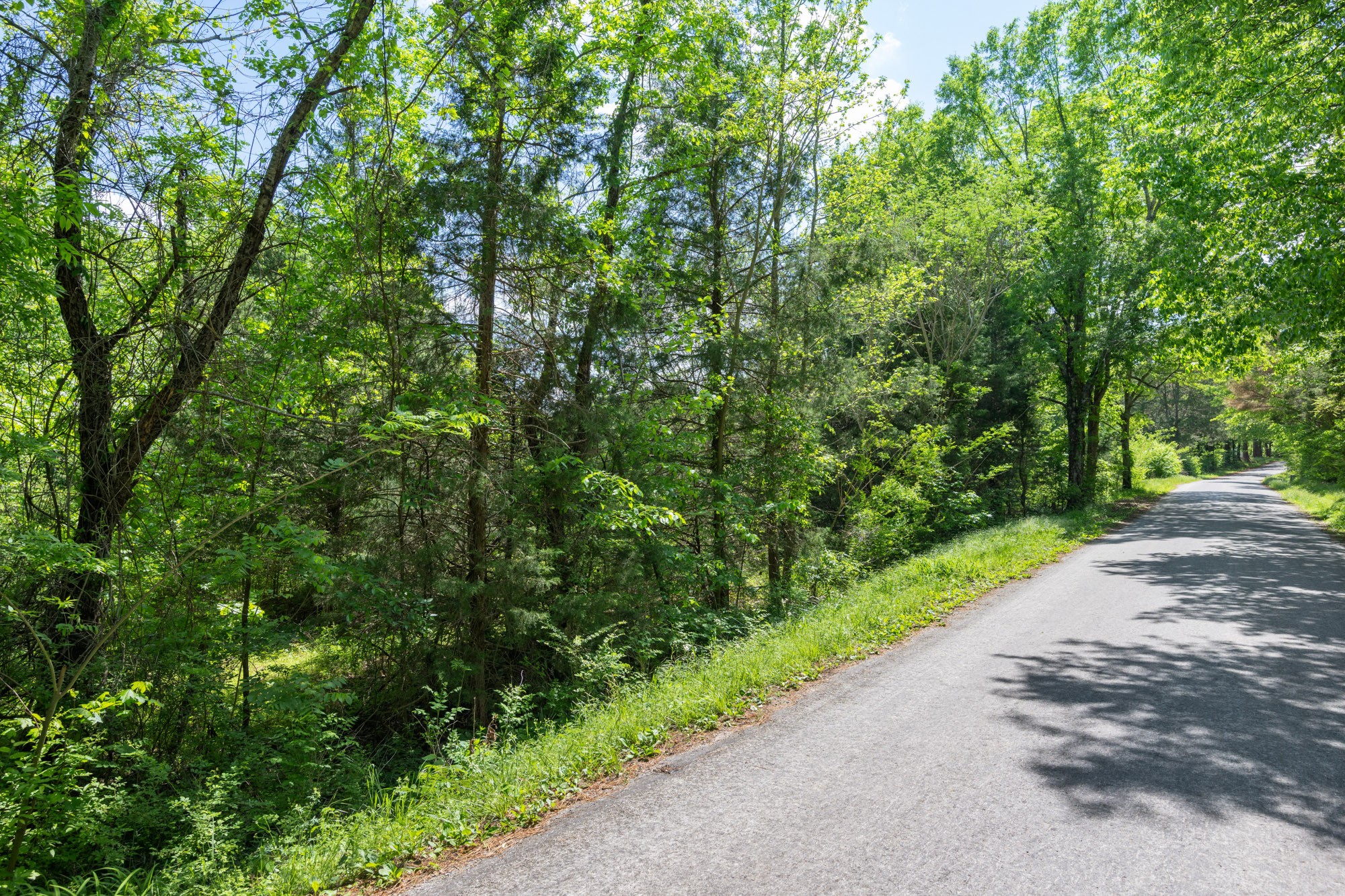 0 Red Williams Road Huntingdon TN 38344