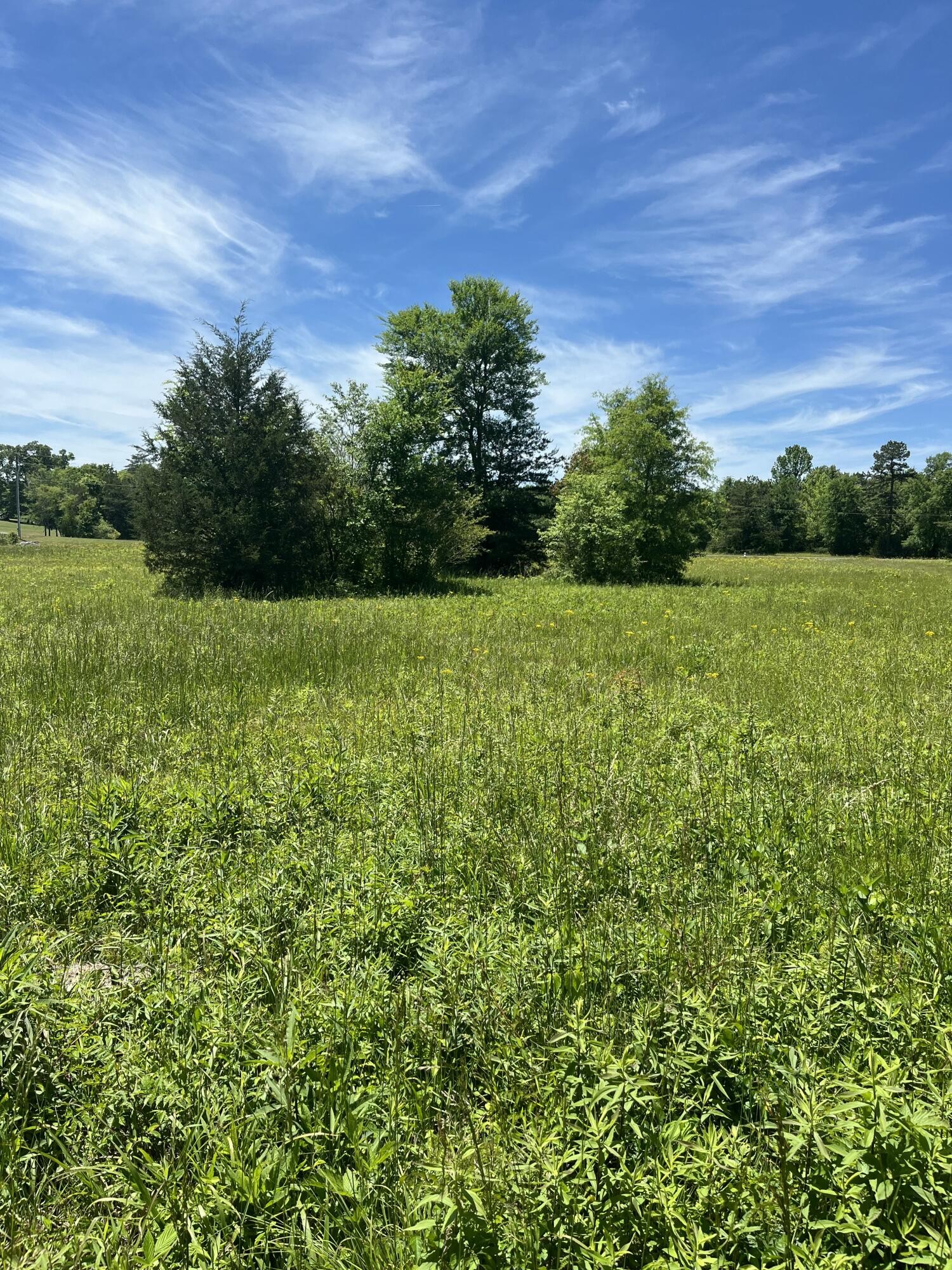 0 County Road 545 Englewood TN 37329