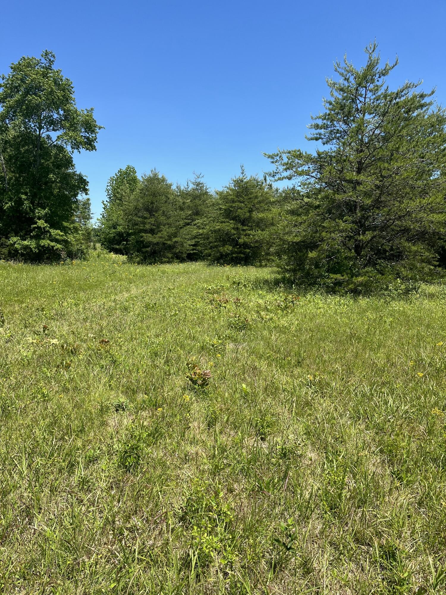 0 County Road 545 Englewood TN 37329