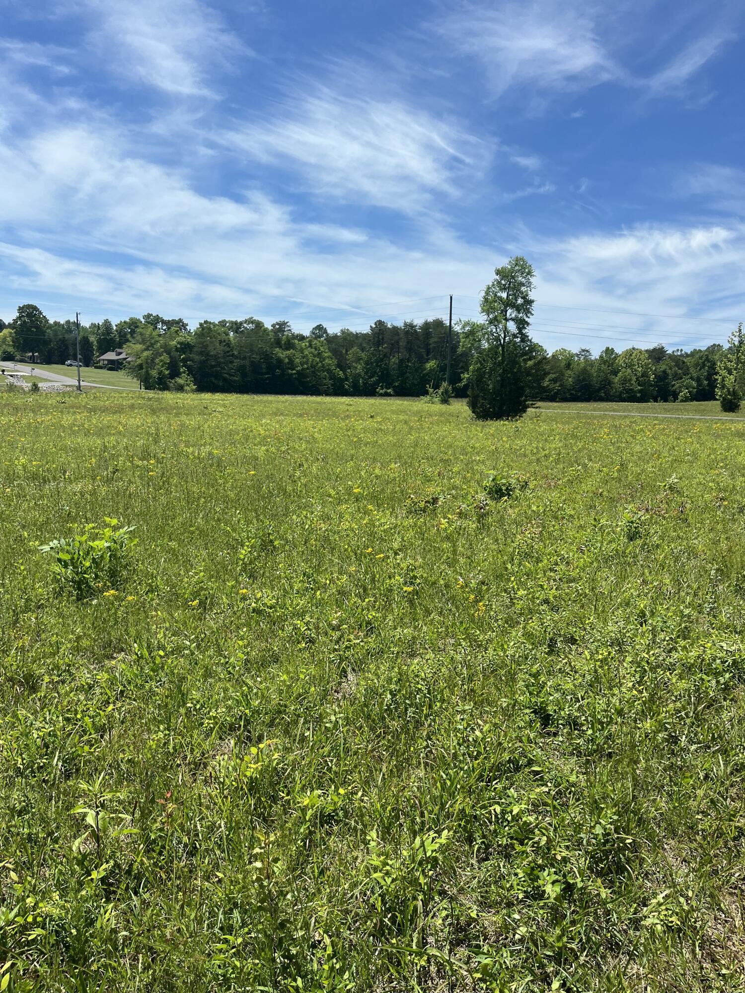 0 County Road 545 Englewood TN 37329