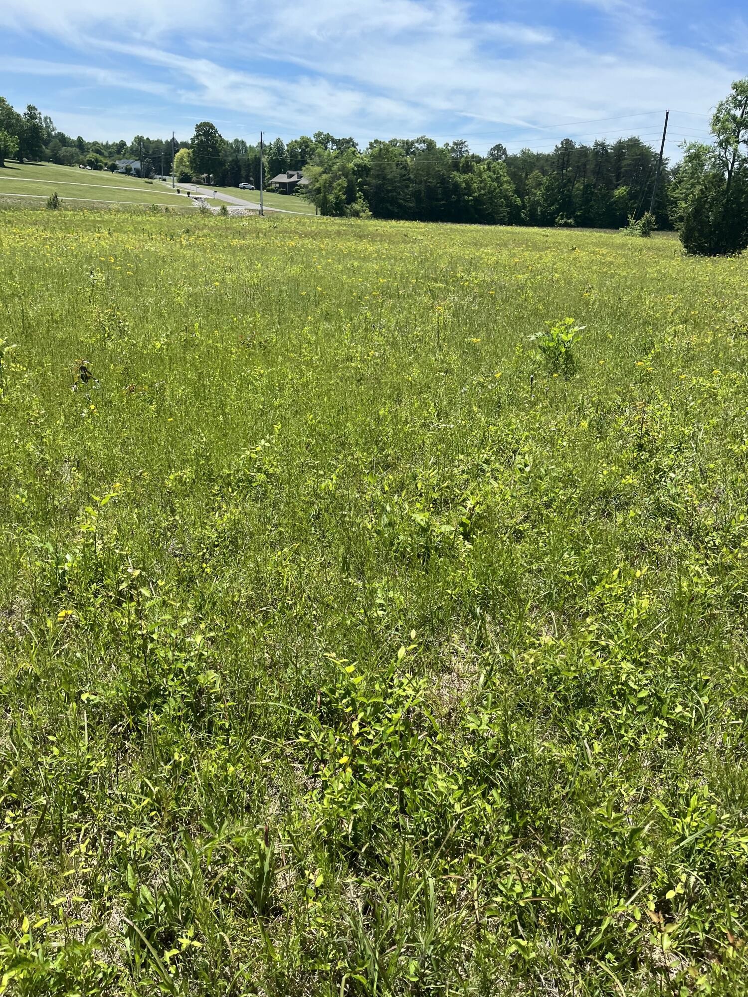 0 County Road 545 Englewood TN 37329