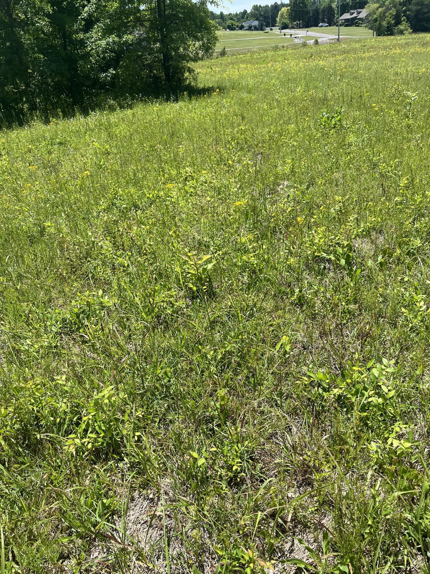 0 County Road 545 Englewood TN 37329