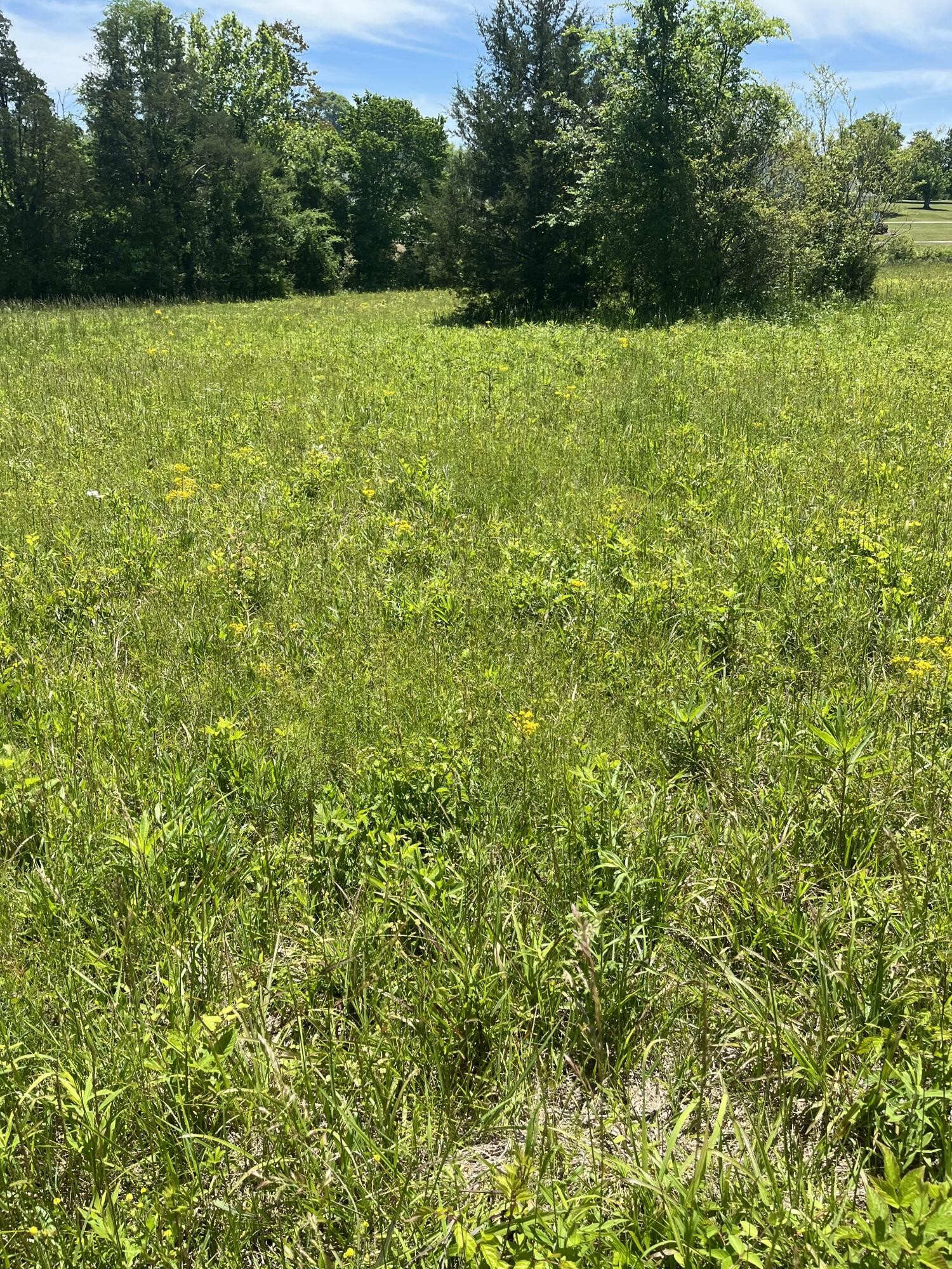 0 County Road 545 Englewood TN 37329