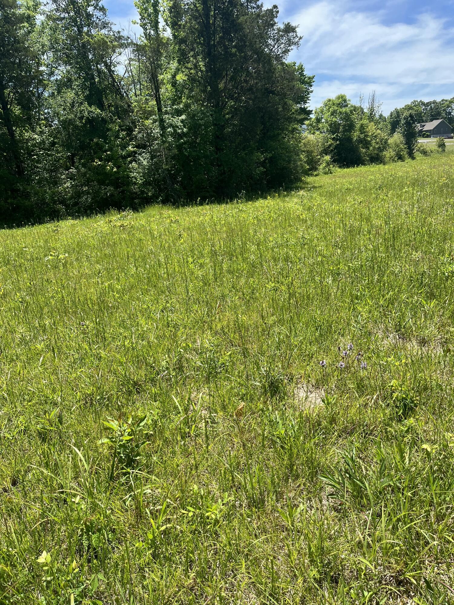 0 County Road 545 Englewood TN 37329