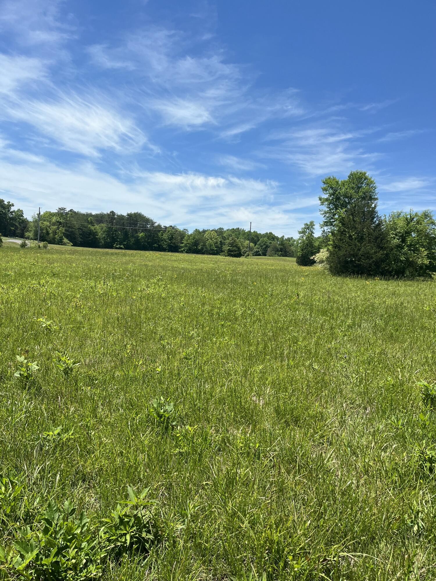 0 County Road 545 Englewood TN 37329