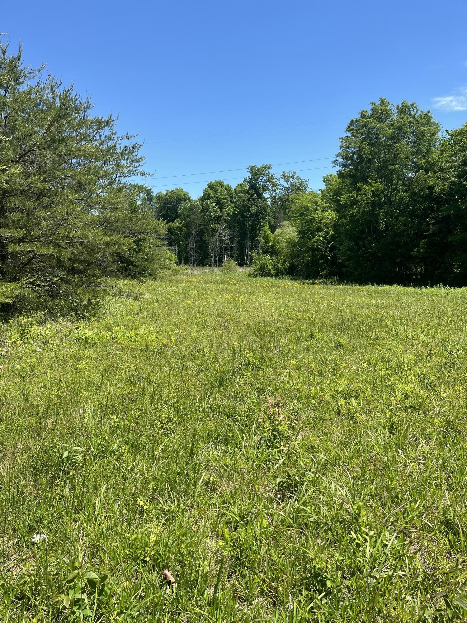 0 County Road 545 Englewood TN 37329