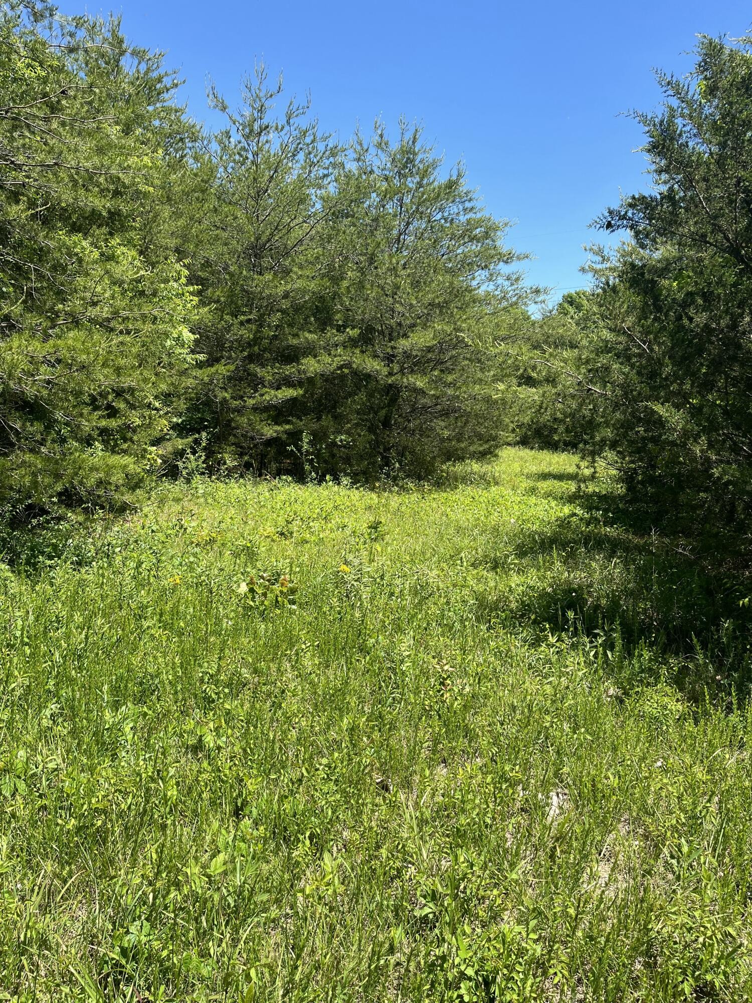 0 County Road 545 Englewood TN 37329