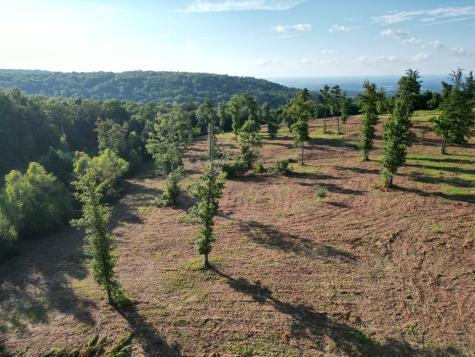 0 Box House Road Belvidere TN 37306